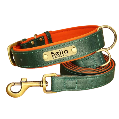 Green Luxury Leather Pet Leash & Pet Collar
