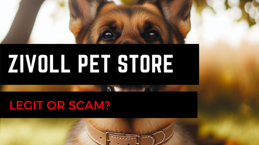 Is Zivoll Legit or Scam