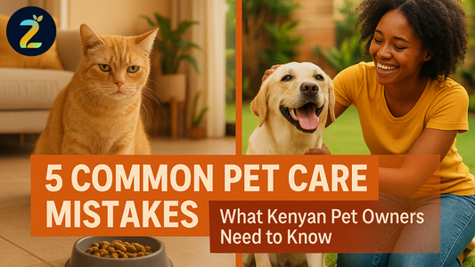 5 Common Mistakes Kenyan Pet Owners Make