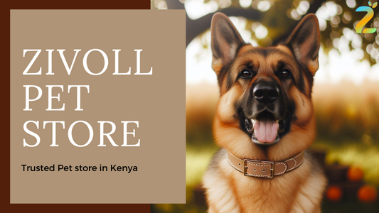 Discover Zivoll – The Best Pet Store in Kenya for Premium Pet Care