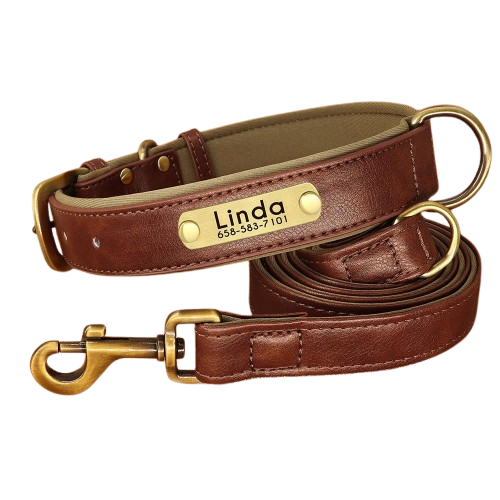 Brown  Luxury Leather Pet Leash & Pet Collar