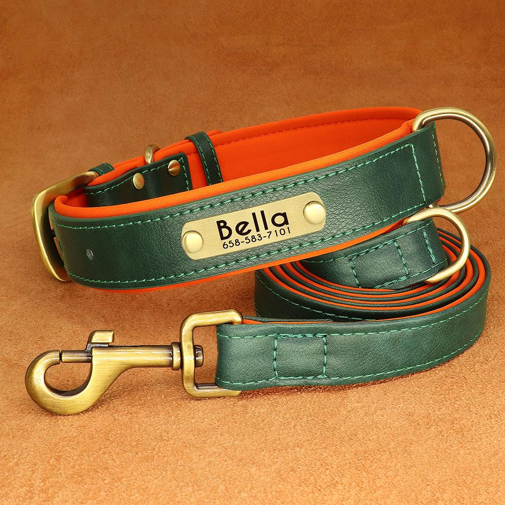 green pet luxury leash & collar