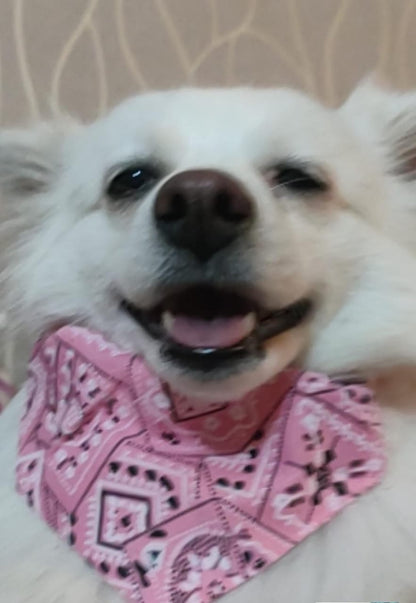 Pink Adjustable Pet Bandana (Scarf)