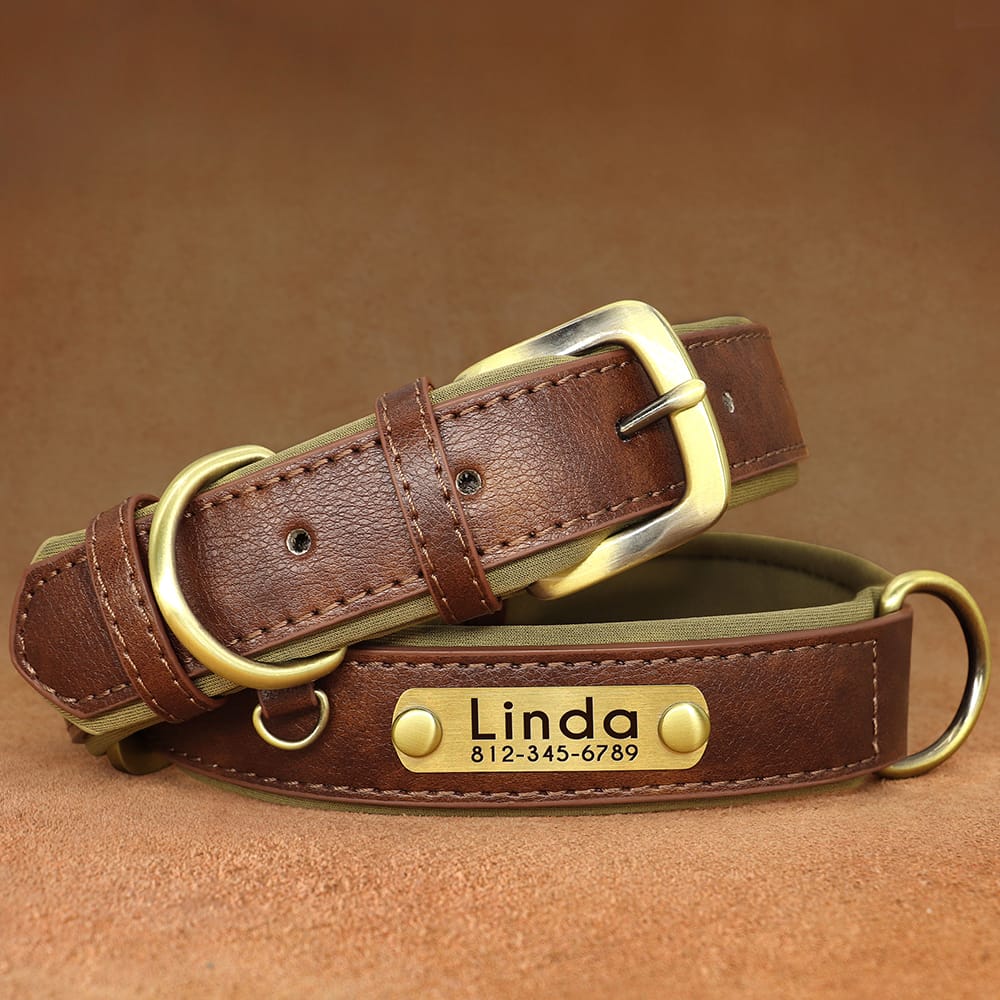 brown pet luxury collar