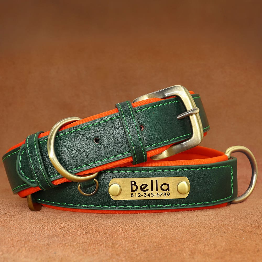 green pet luxury collar