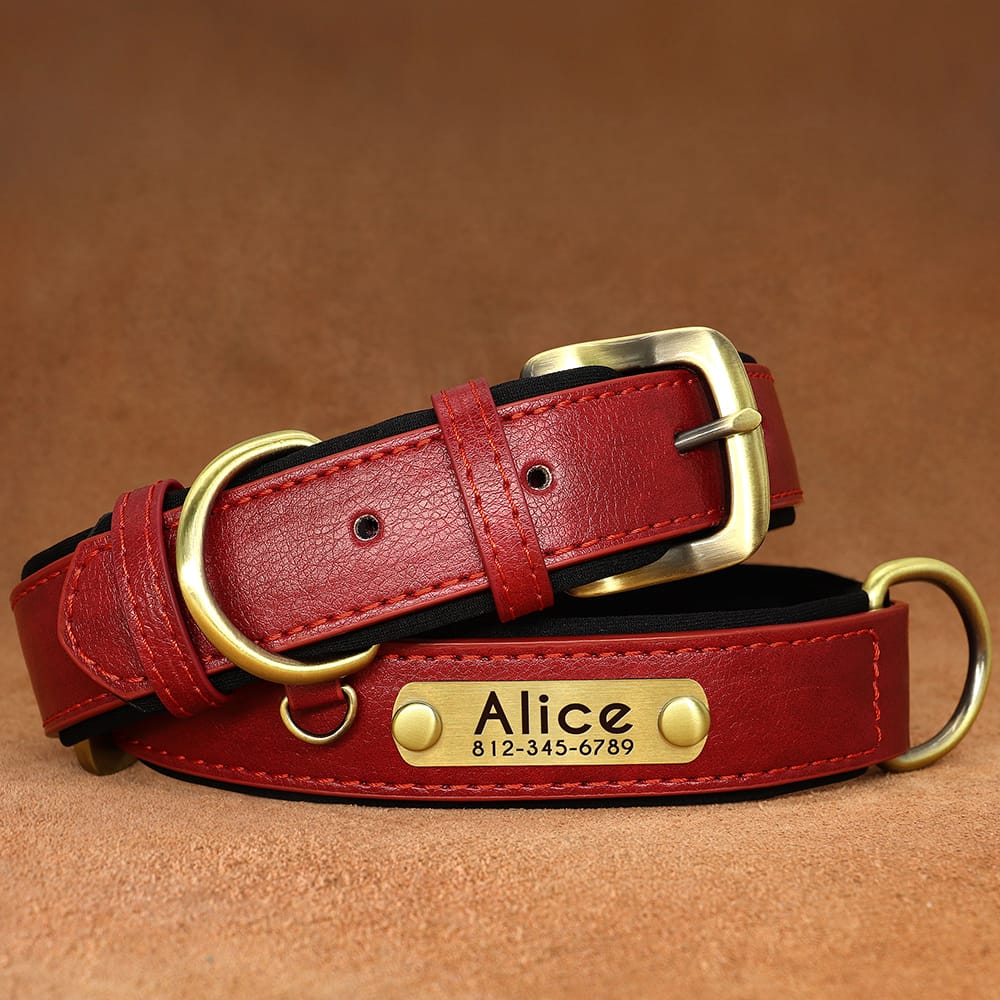 red pet luxury collar