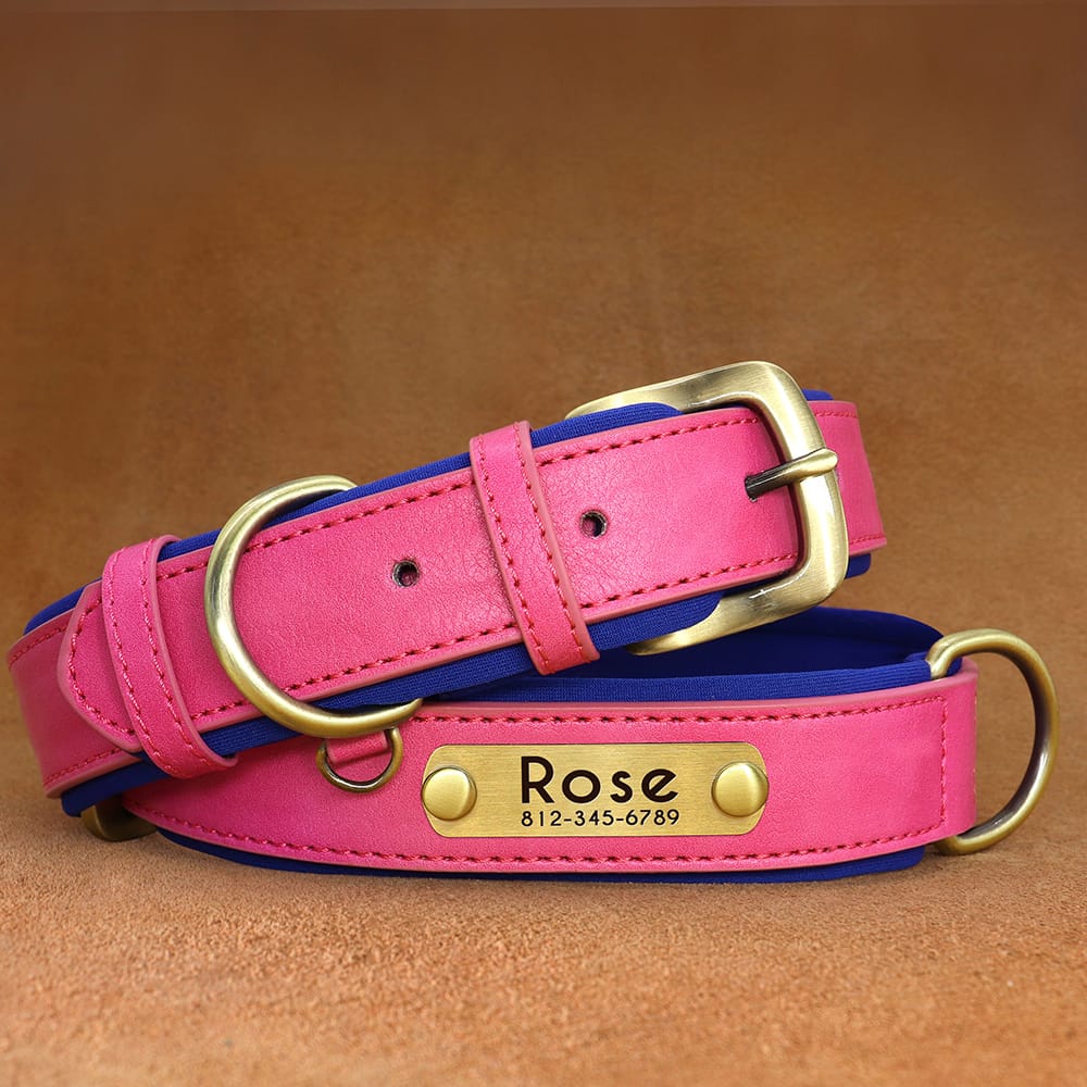 pink pet luxury collar