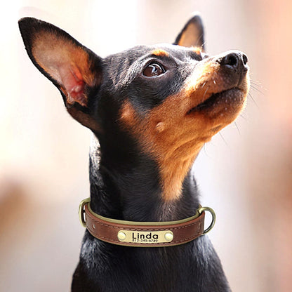 Brown Luxury Collar