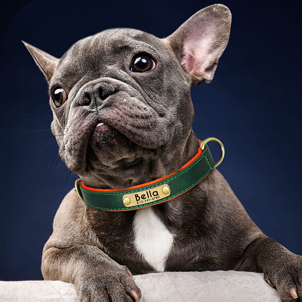 Green Luxury Collar