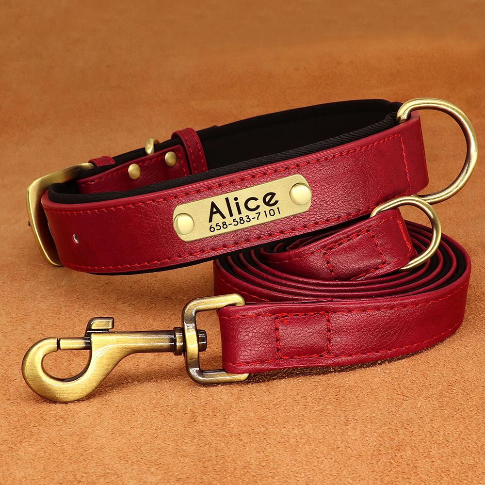 red luxury pet collar and leash