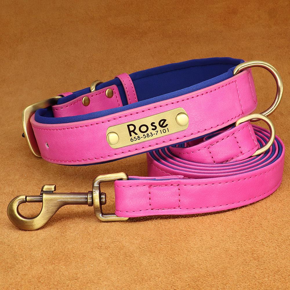 pink pet luxury leash & collar