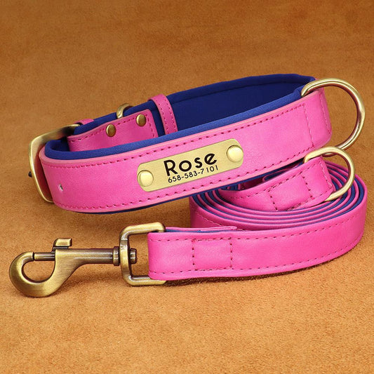 pink pet luxury leash & collar